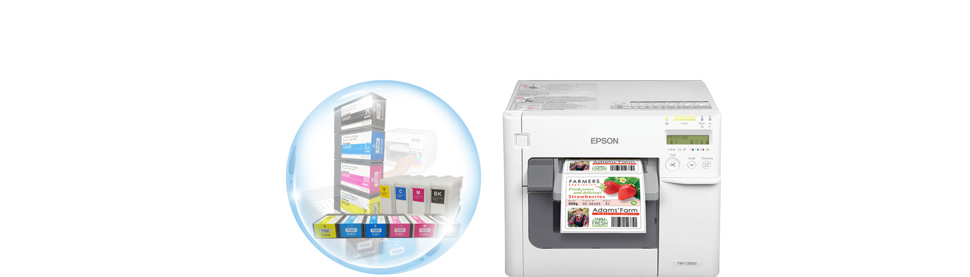 epson color work label printer ink cartridge